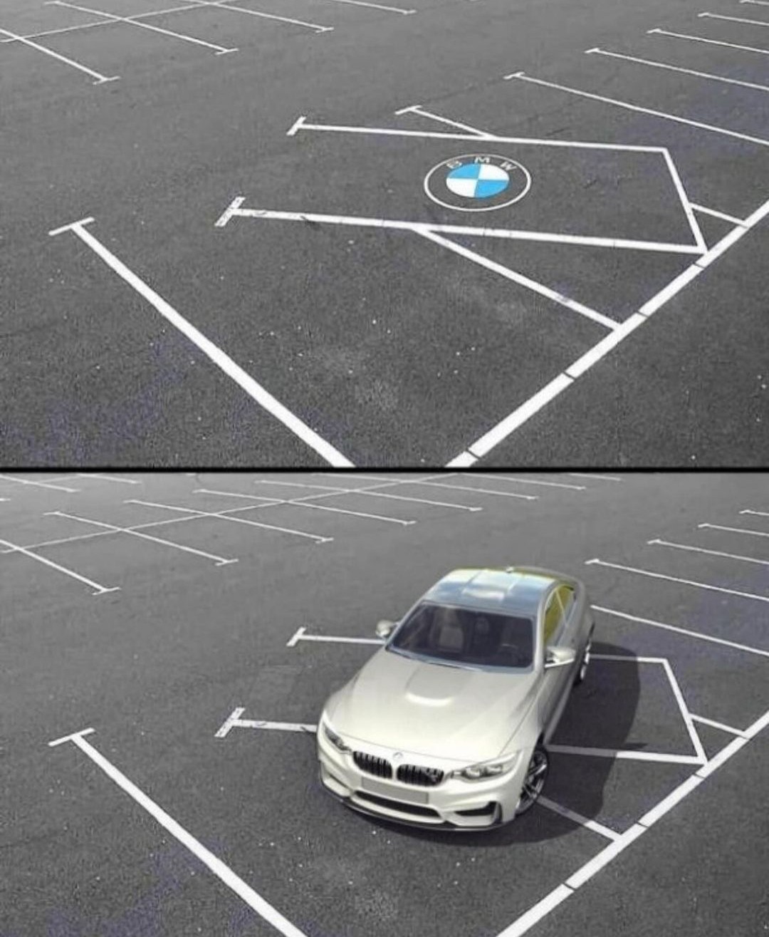 1000046016.jpg