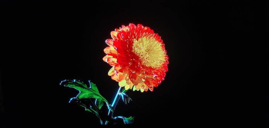 1630335221873.png