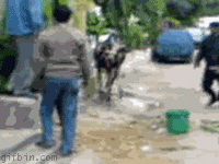 1742822191063.gif