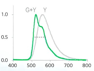 oled evo estructure.jpg