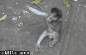 tumblr_nxrd4wixS61uxebowo1_400.gif