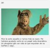 5E111B3E-05FC-4EF9-835B-6711C0F4EBB6.jpeg